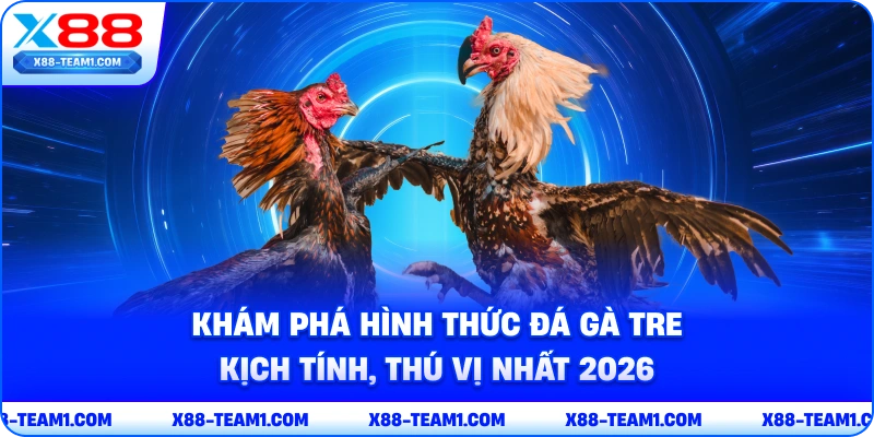 Khám Phá Hình Thức Đá Gà Tre Kịch Tính, Thú Vị Nhất 2026 1 kham-pha-hinh-thuc-da-ga-tre-kich-tinh-thu-vi-nhat-2026